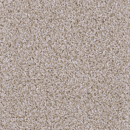 Missionary Ridge in Crystal Coast Carpet