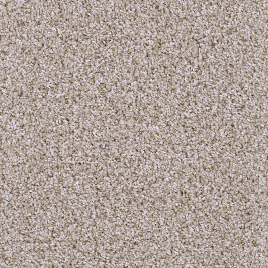 Missionary Ridge in Crystal Coast Carpet