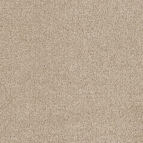 Hollywood in Cashmere