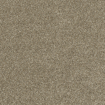 Hollywood in Sienna Sand Carpet