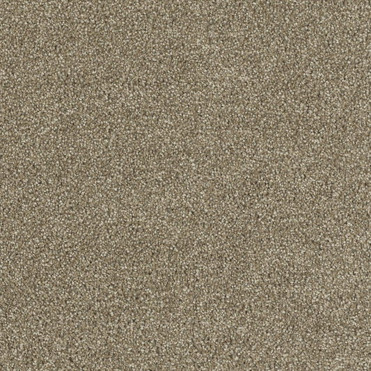 Hollywood in Sienna Sand Carpet