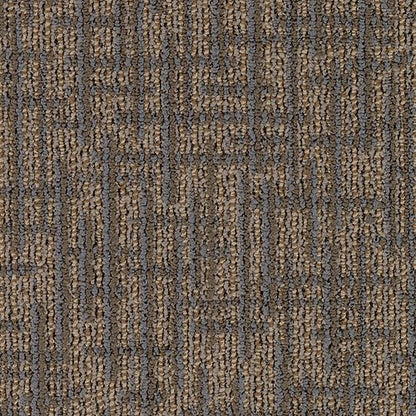 Transversal Approach in Fresh Perspective Carpet