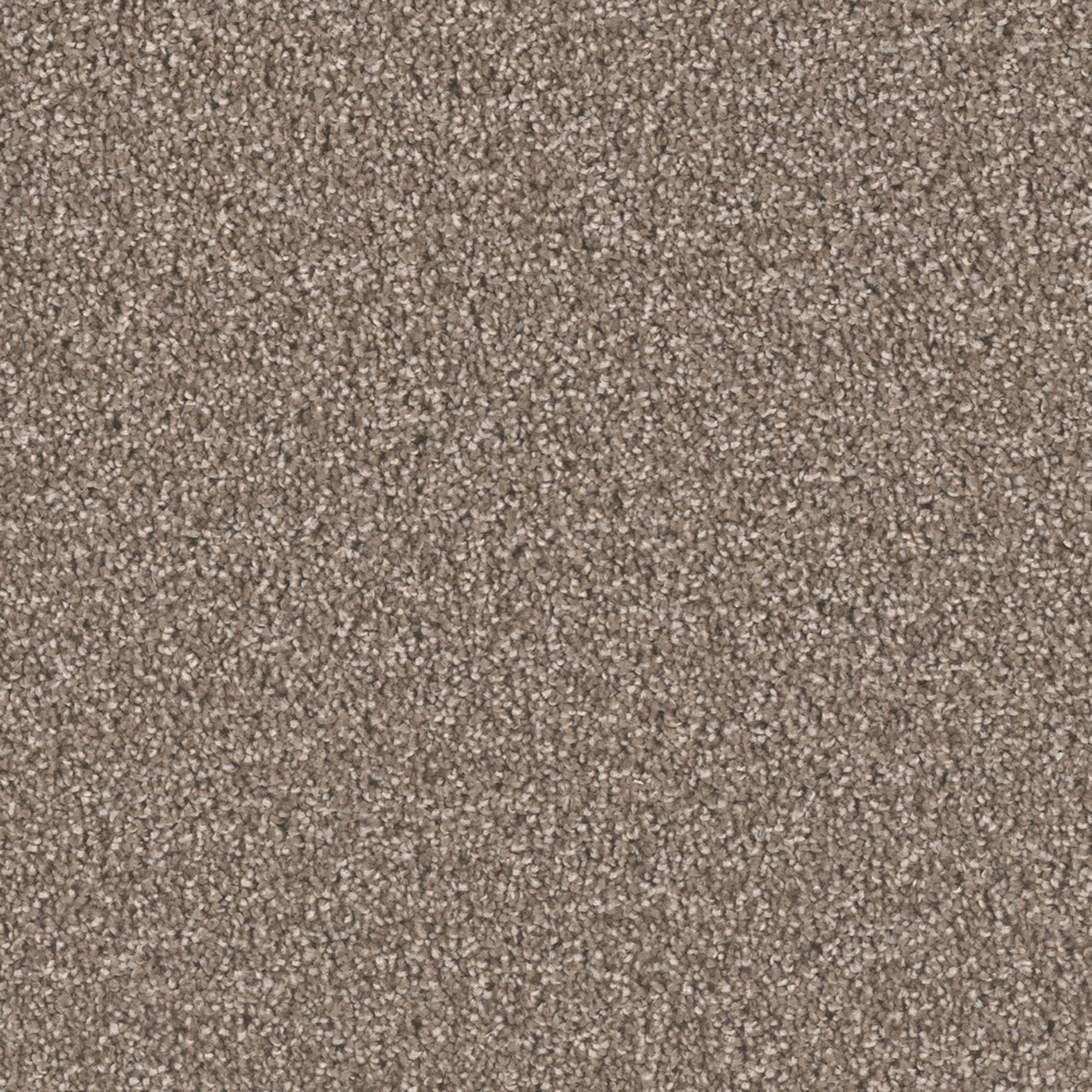 Opulent II in Tumbleweed Carpet