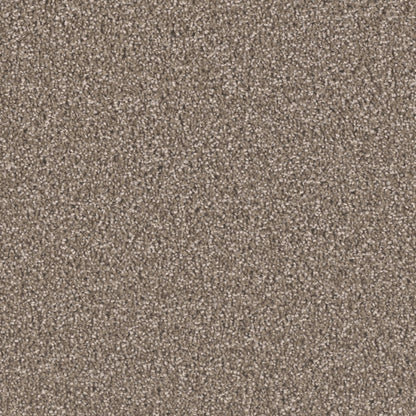 Opulent II in Tumbleweed Carpet