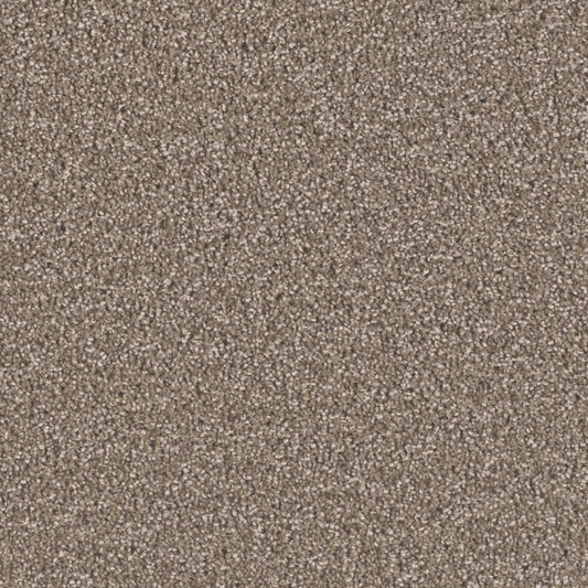 Opulent II in Tumbleweed Carpet