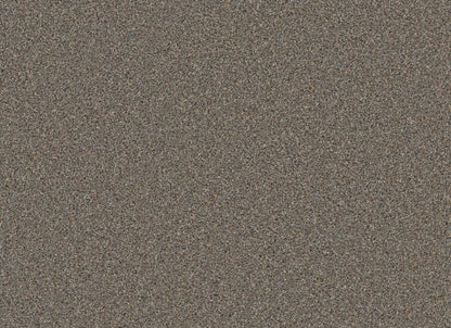 COSMOPOLITAN II