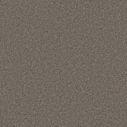 COSMOPOLITAN II