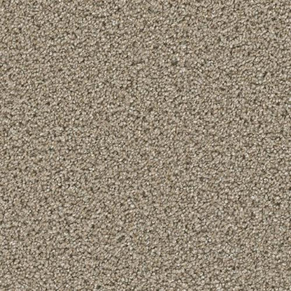 COSMOPOLITAN II in Tumbleweed Carpet