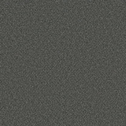 COSMOPOLITAN II