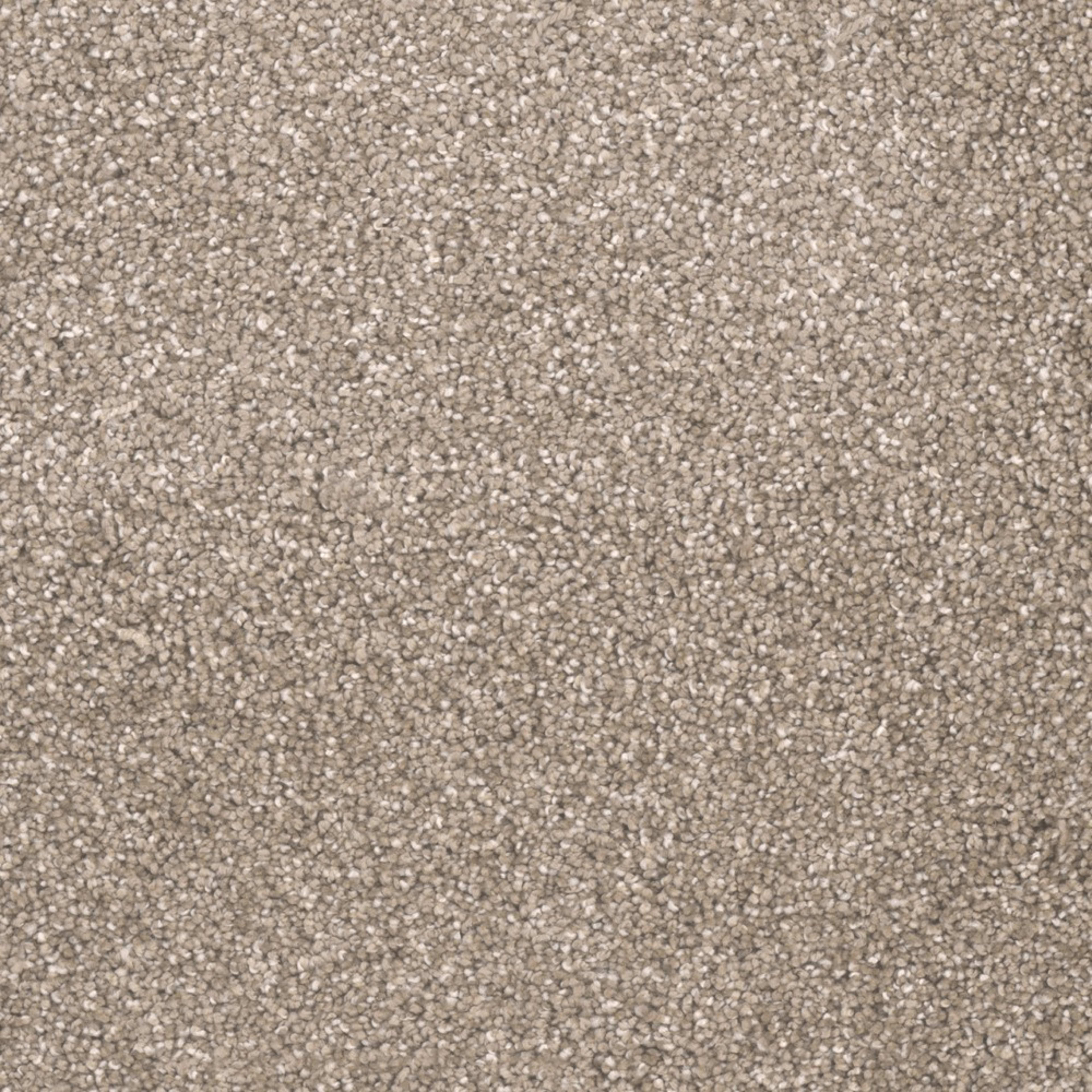 City Lights II in Acorn Carpet