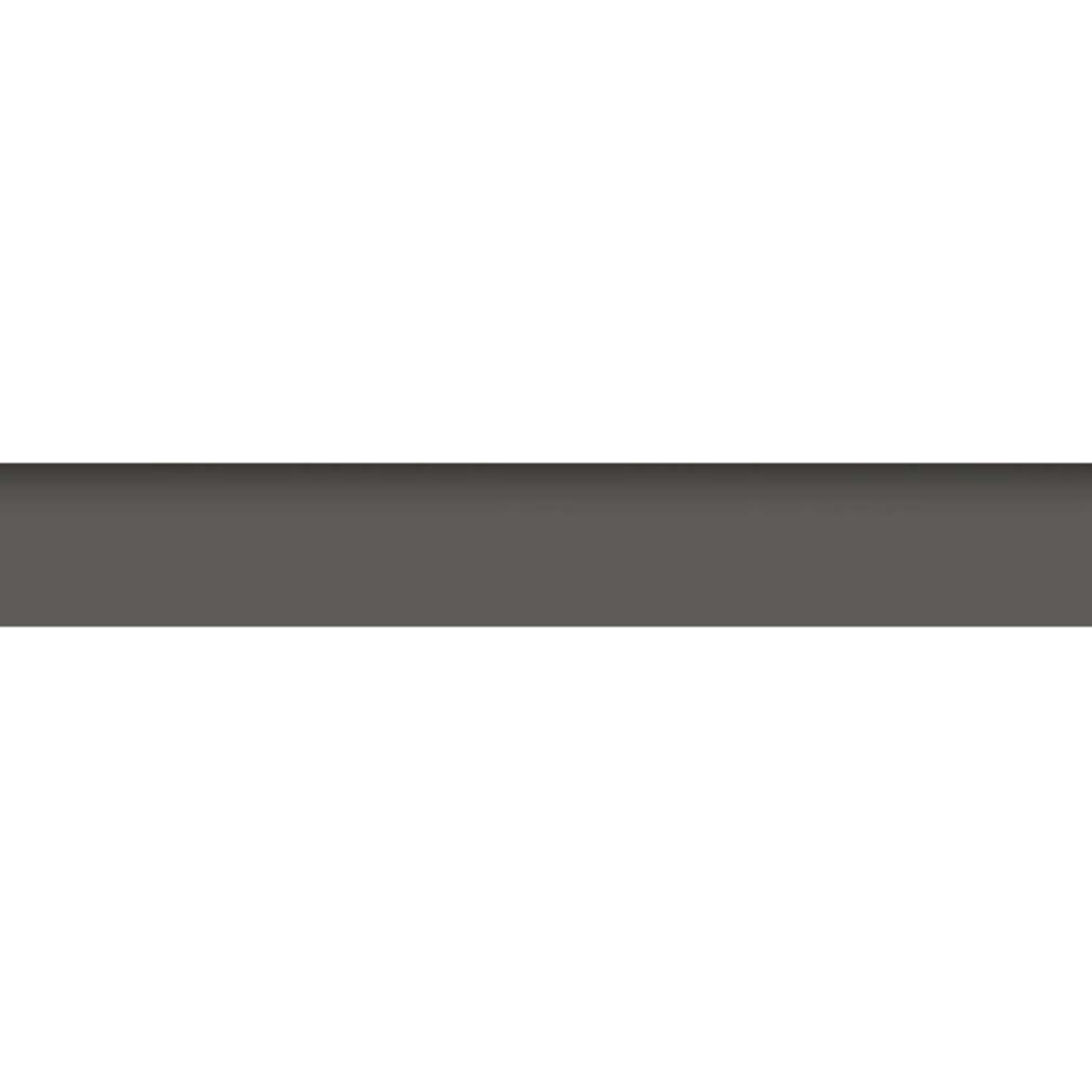 Carpenter in Dark - Bullnose Tile