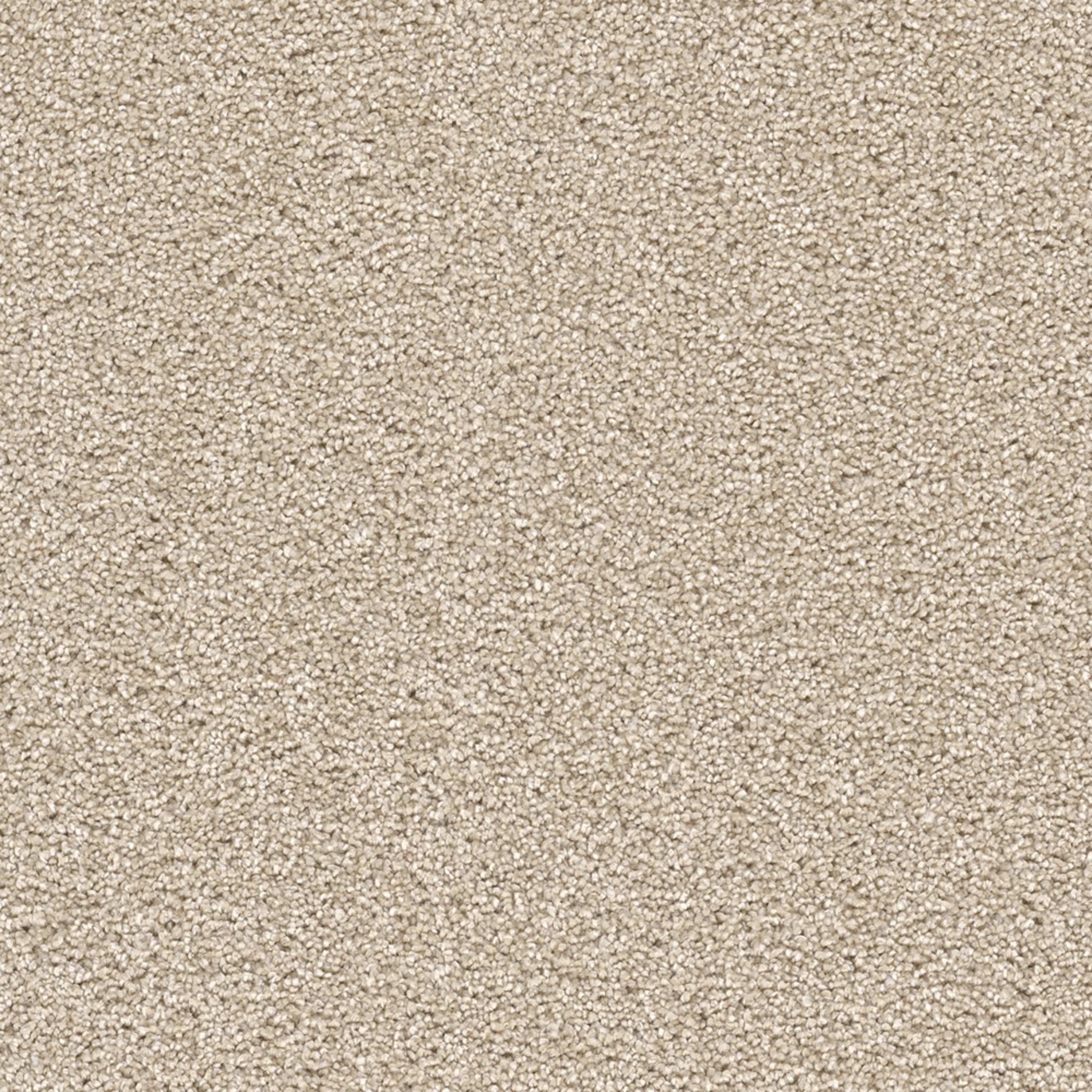 Knob Creek in Blush Carpet