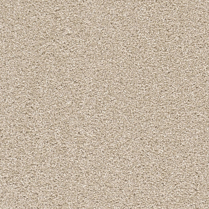 Knob Creek in Blush Carpet