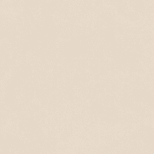 B-Natural in Kaolin 24x48 Tile