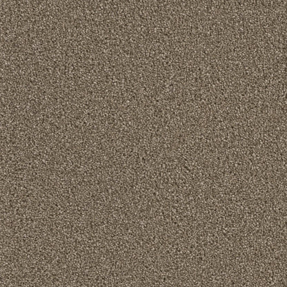 Colonial Plus