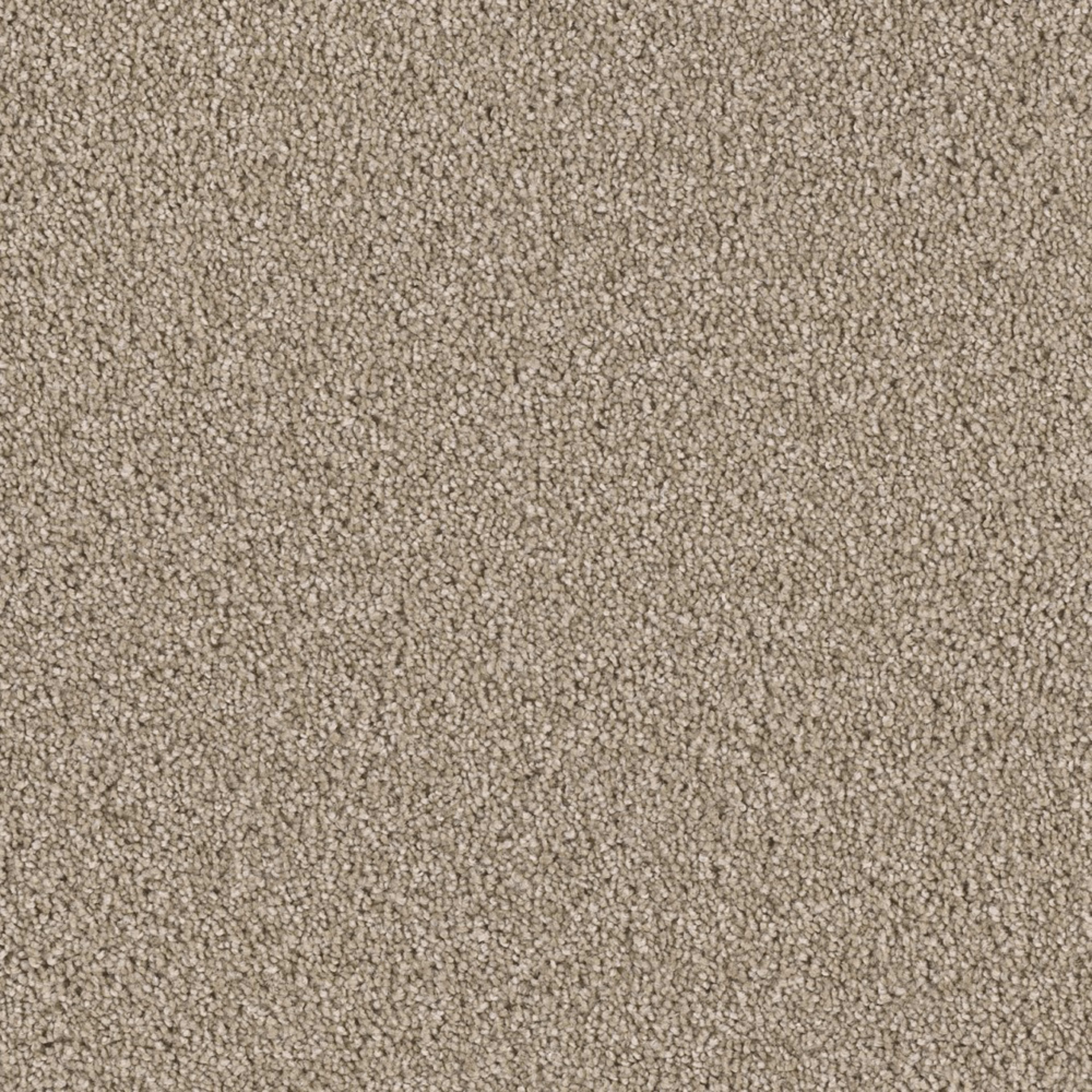 Colonial Plus in Buff Carpet