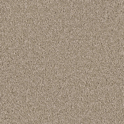 Colonial Plus in Buff Carpet