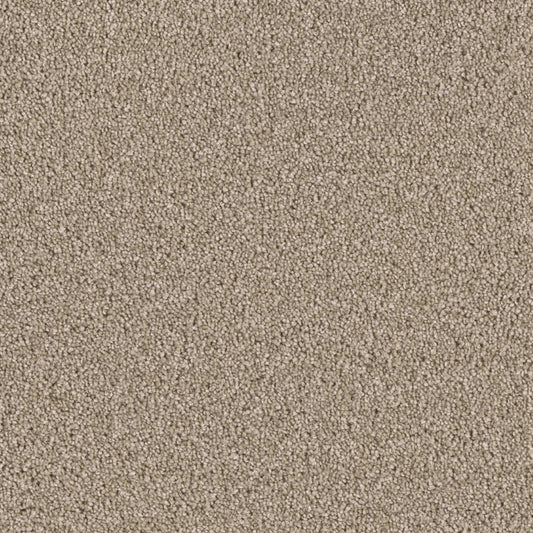Colonial Plus in Buff Carpet