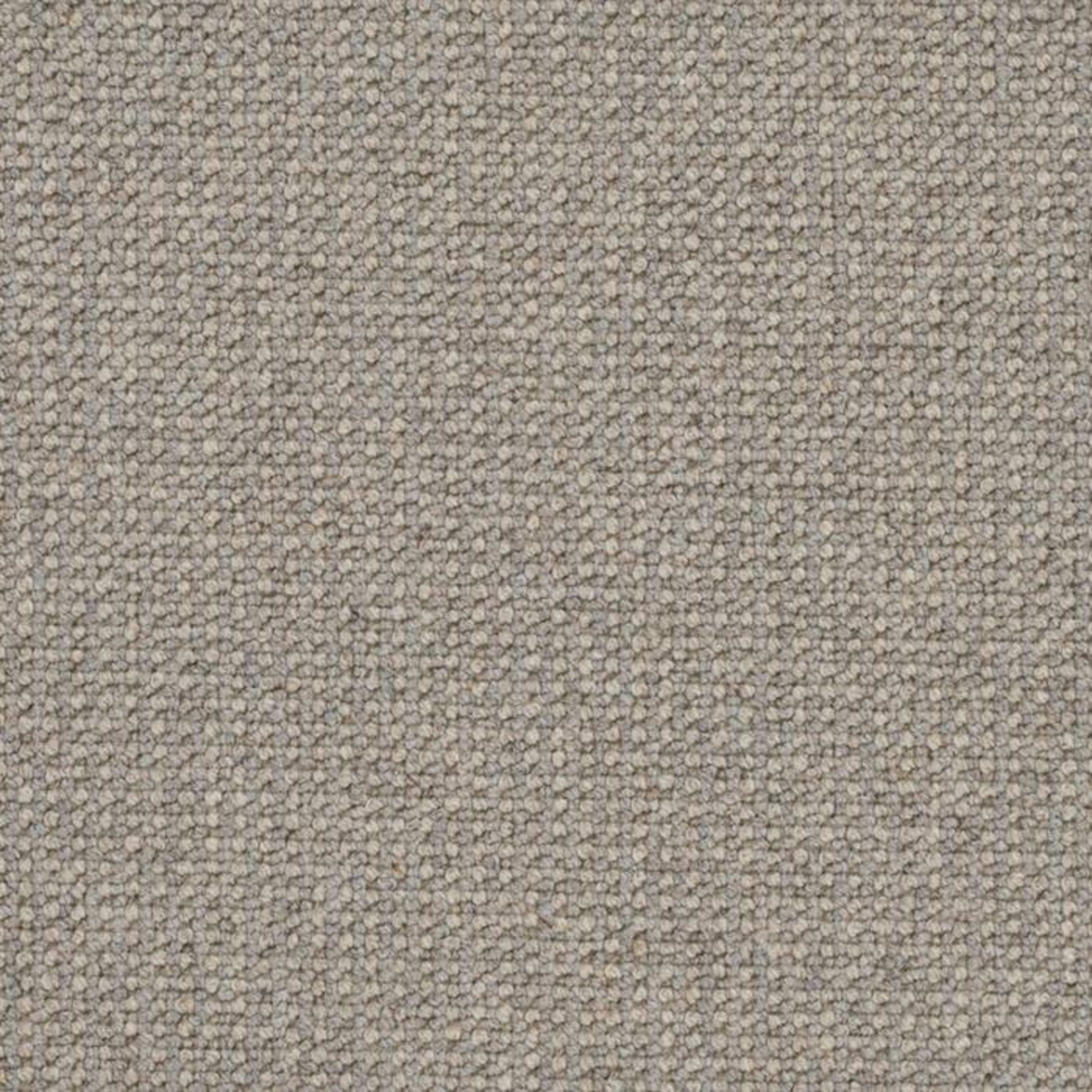 Perception in Fossil Carpet