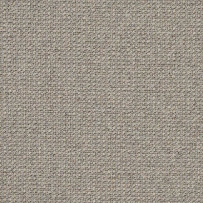 Perception in Fossil Carpet