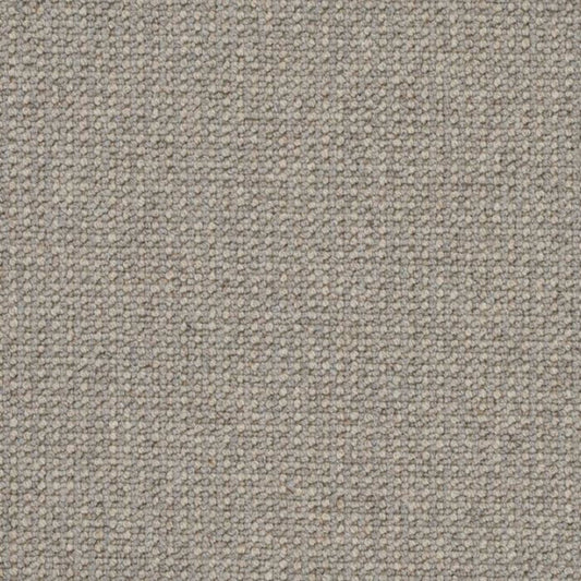 Perception in Fossil Carpet