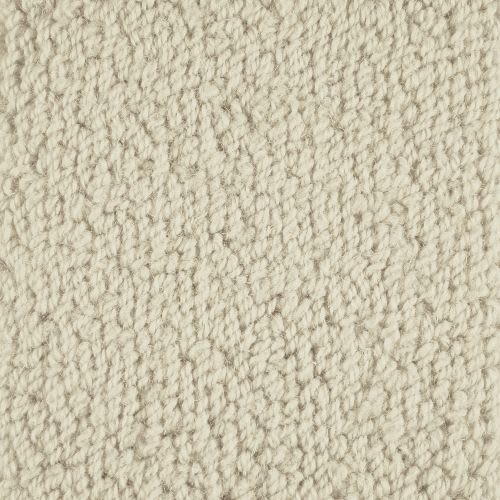 Novellino in Ivory