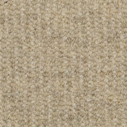 Heatherpoint in Cobblestone Carpet