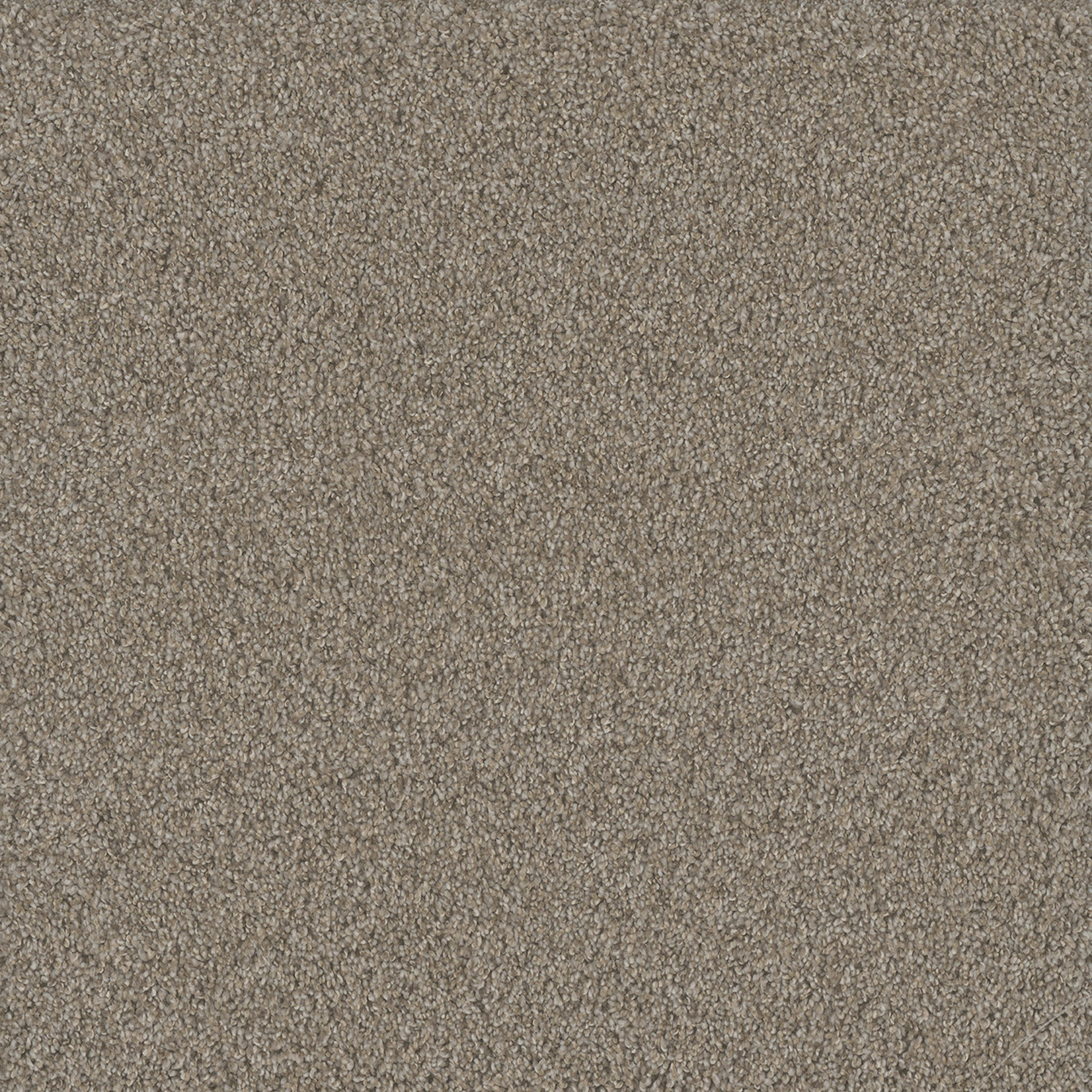 No Limits III in Ambiance Carpet