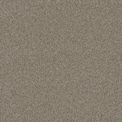 No Limits III in Ambiance Carpet
