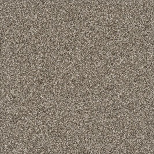 No Limits III in Ambiance Carpet