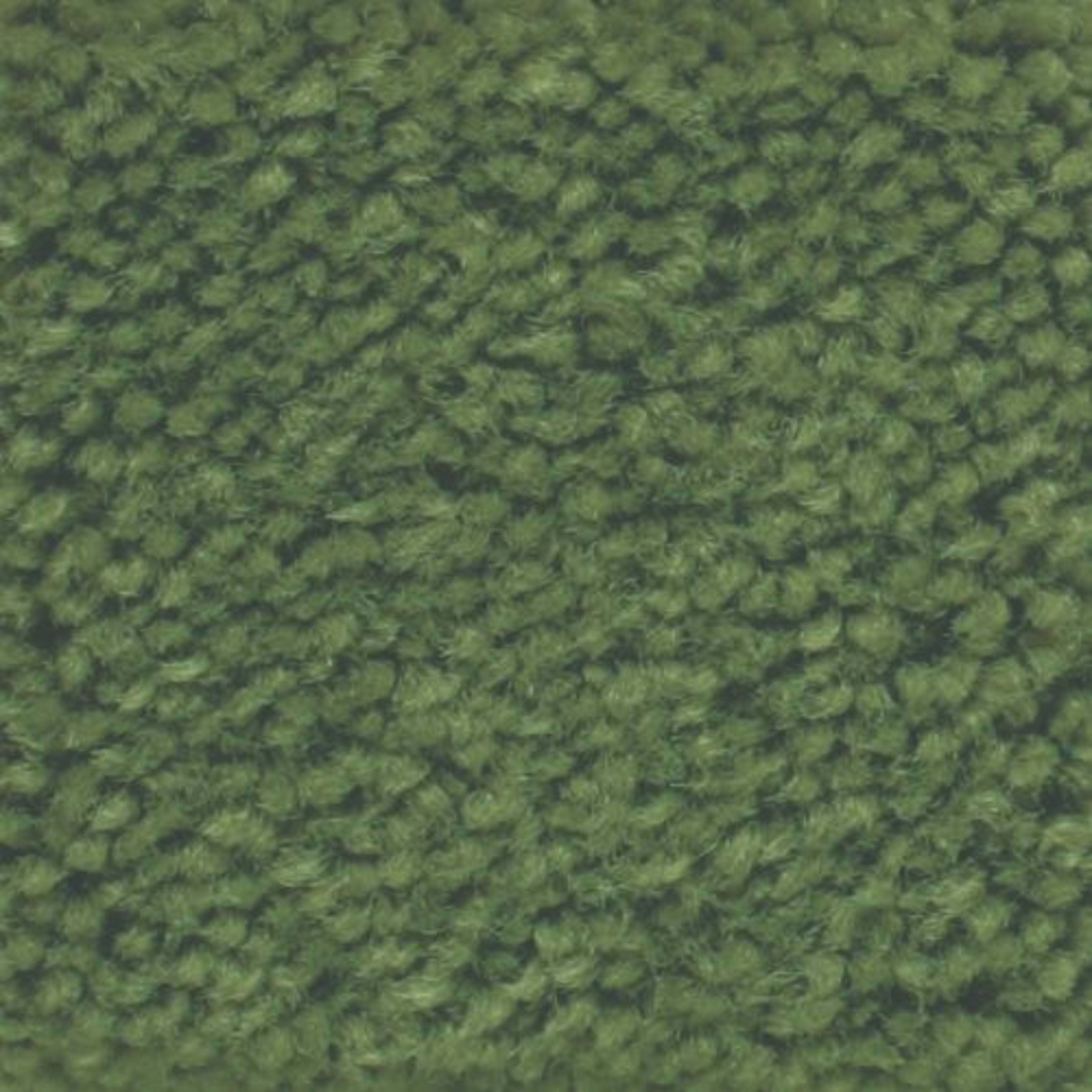 Americana in Garden Carpet