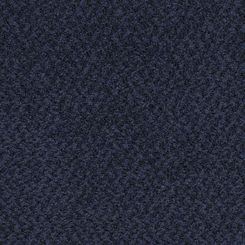New Hope in Midnight Carpet
