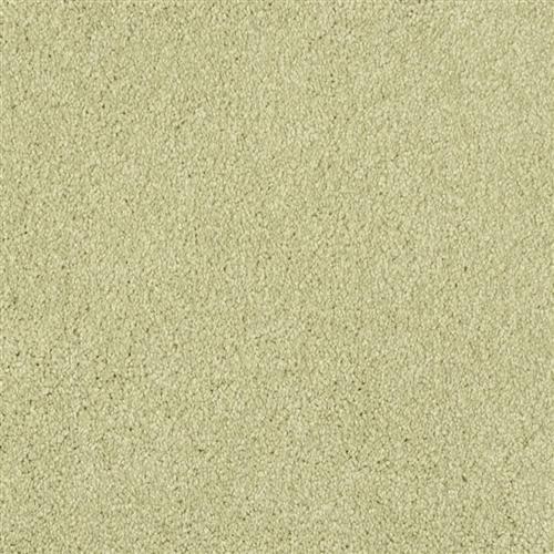 Oceanside in Springhill Carpet