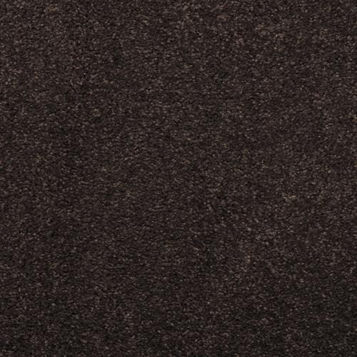 Indulgence in Black Olive