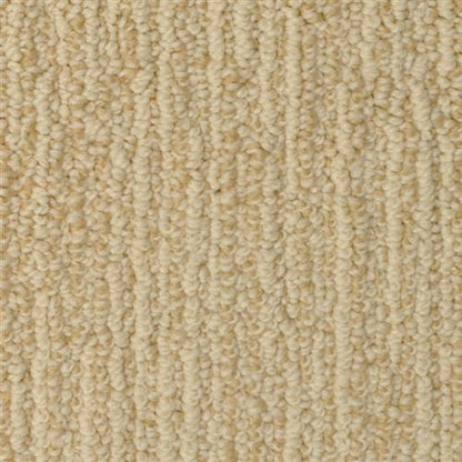 Rivulet in Winter Grass