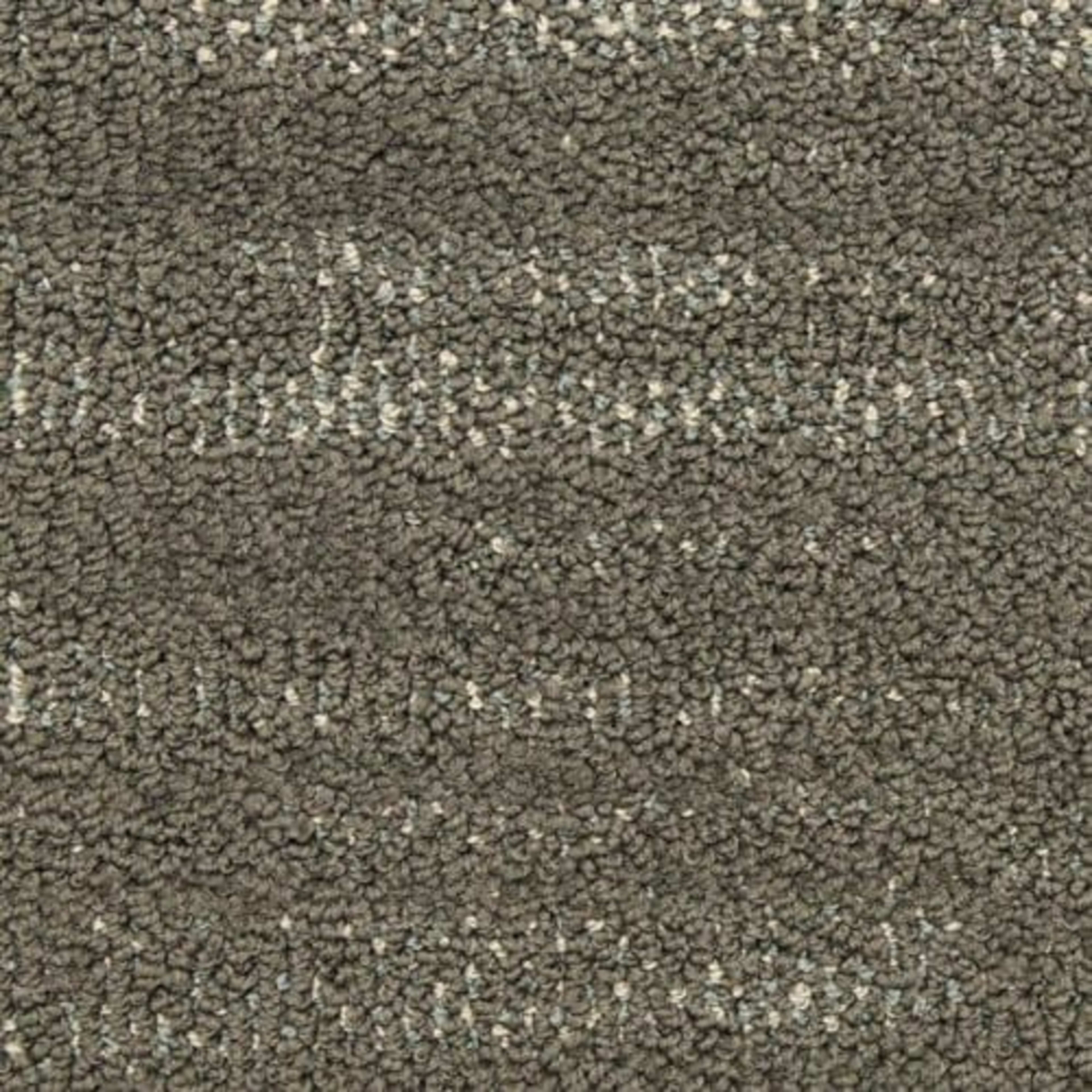 Jive in Entrada Carpet