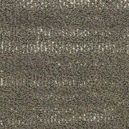 Jive in Entrada Carpet