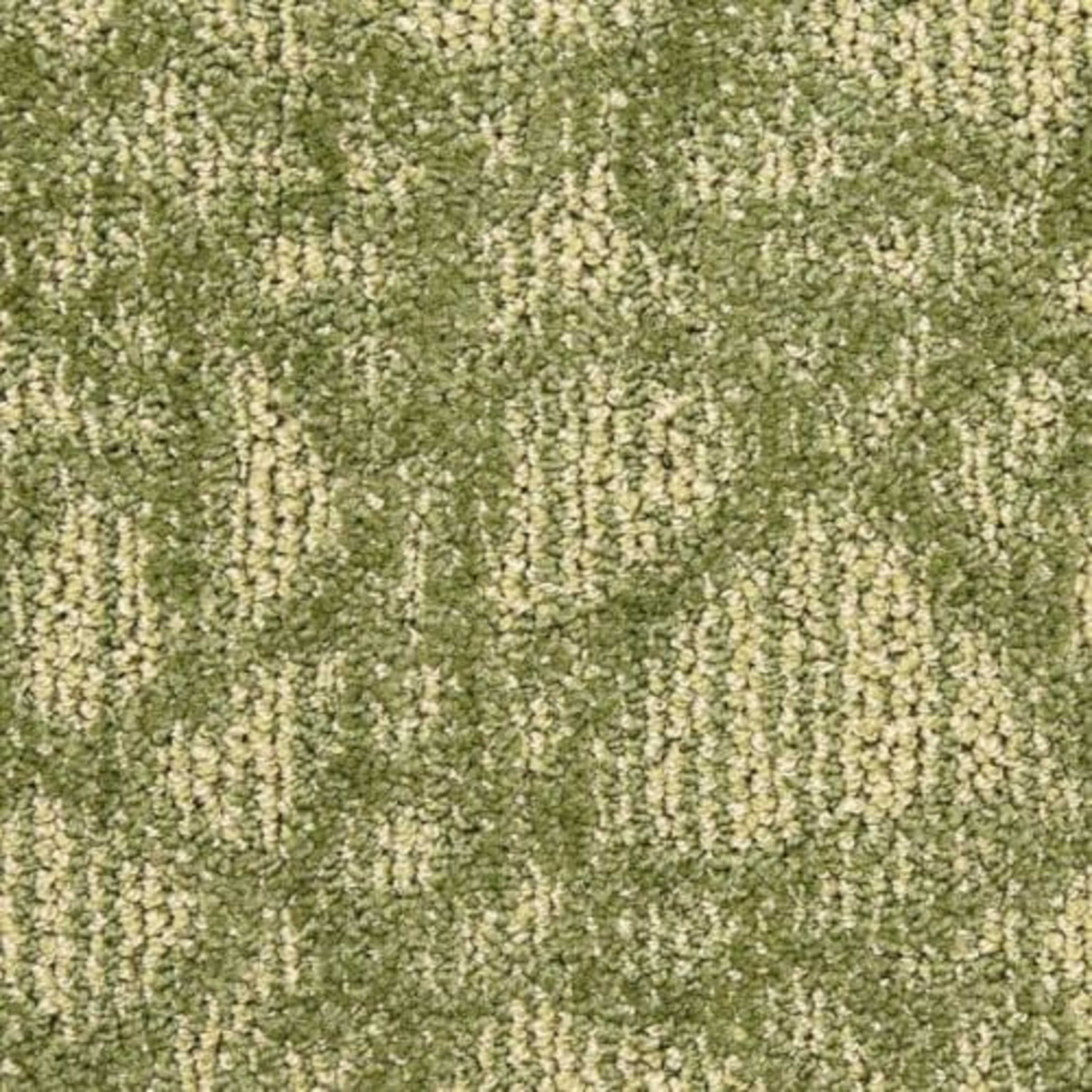 Hustle in Aerial Carpet