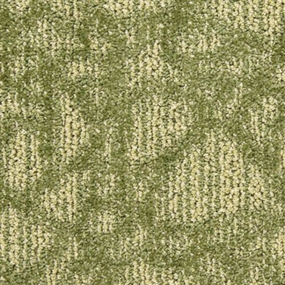 Hustle in Aerial Carpet
