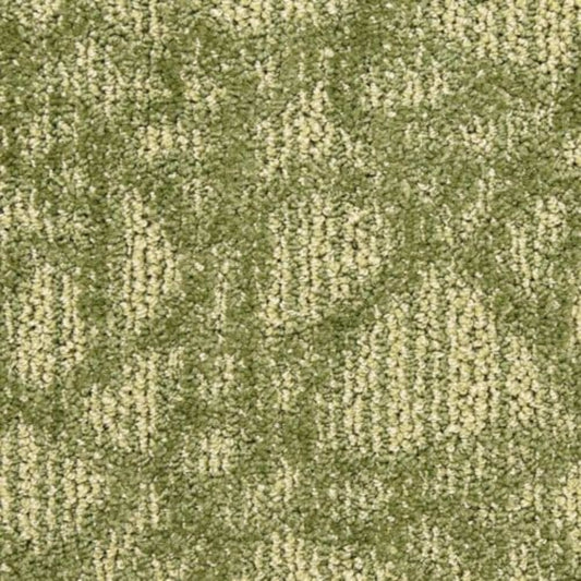 Hustle in Aerial Carpet