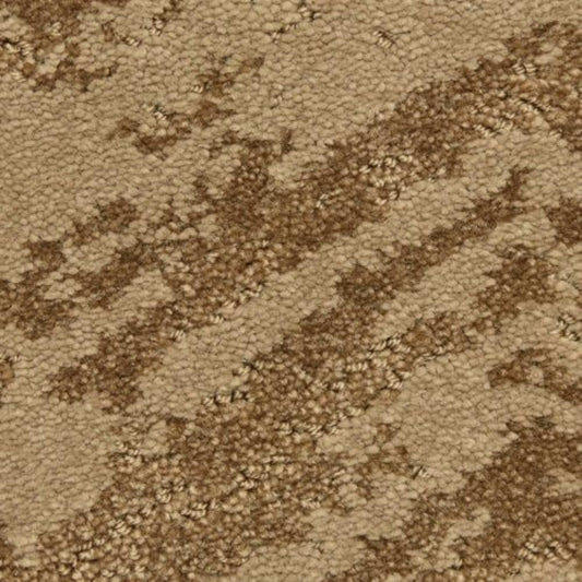 Cheval in Desert Carpet
