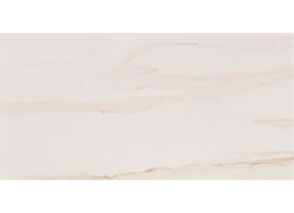 Charleston in White - 12x24