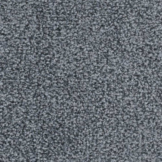 St. Augustine in Constant Navy Carpet