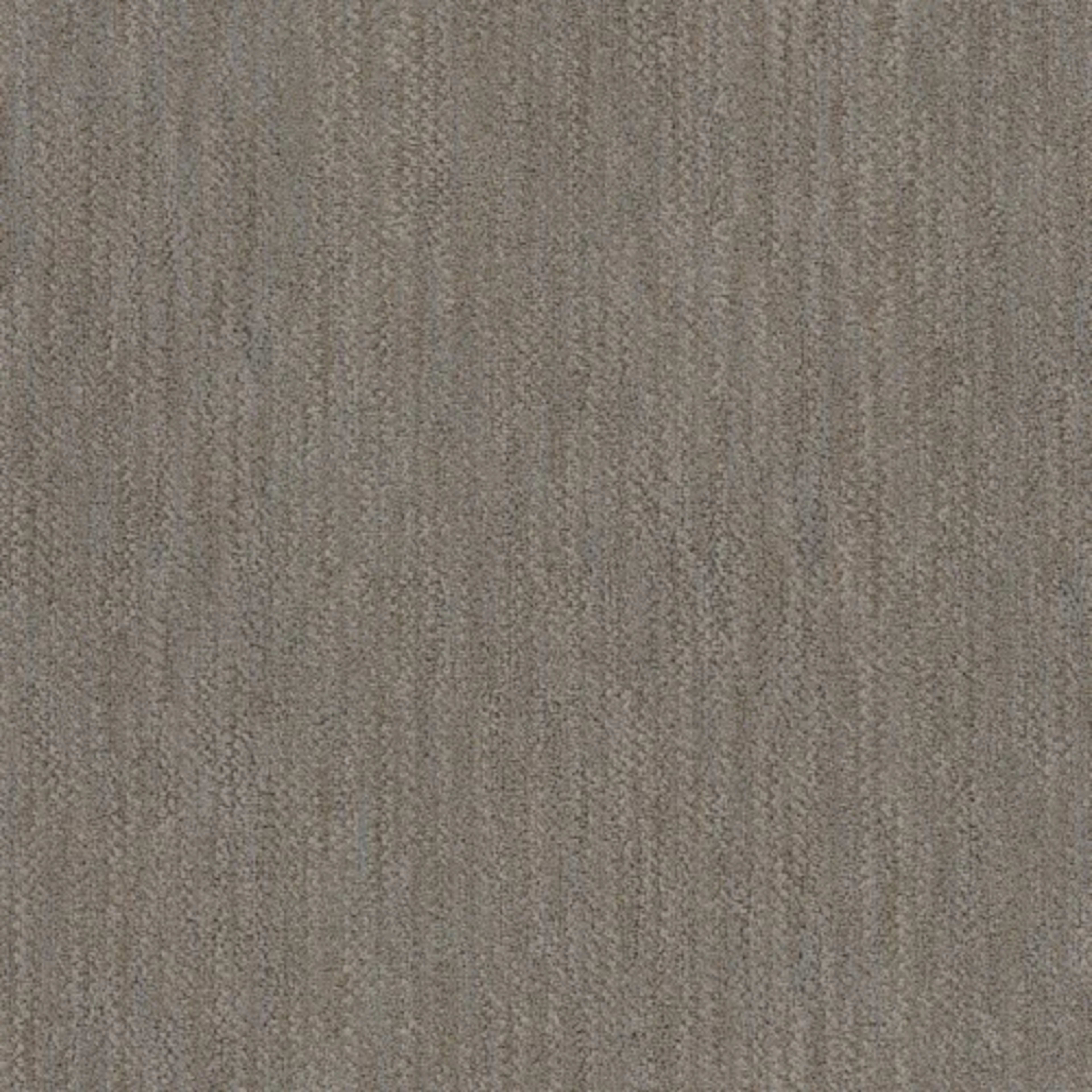 Desert in Tundra Carpet