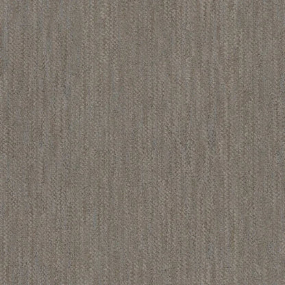 Desert in Tundra Carpet