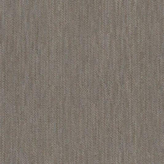 Desert in Tundra Carpet