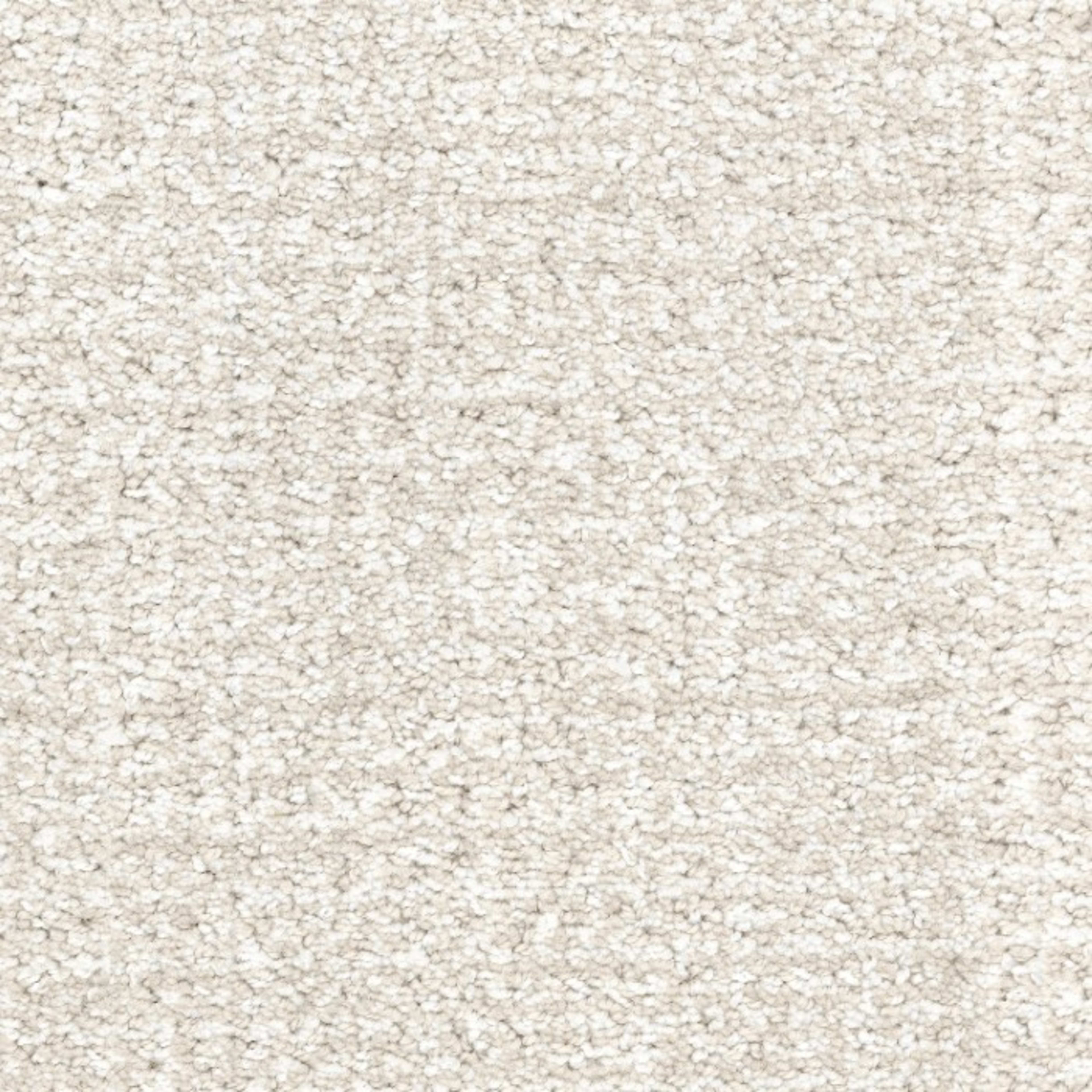 Pedigree in Pup-Corn Carpet