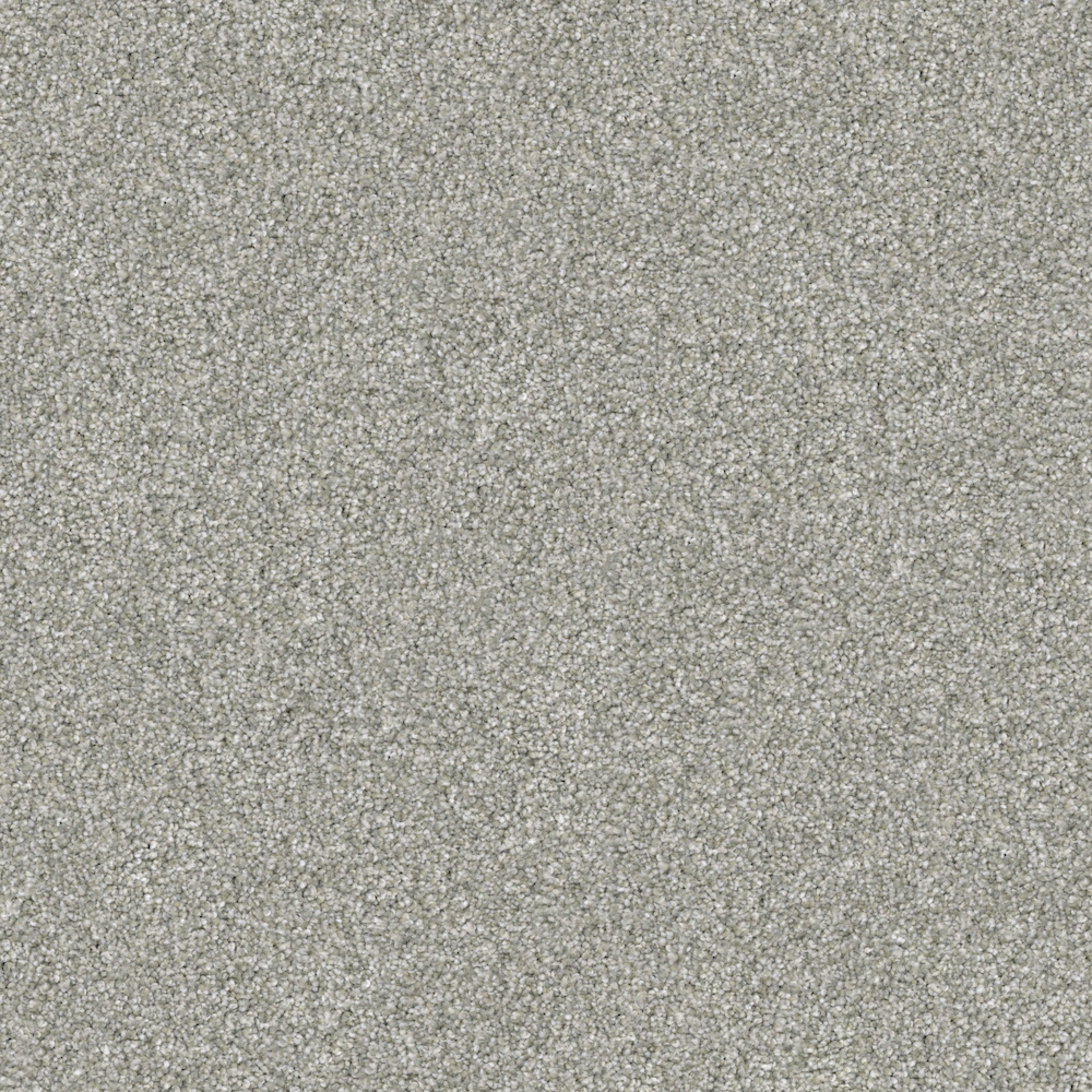 Hunter in Pickles Carpet