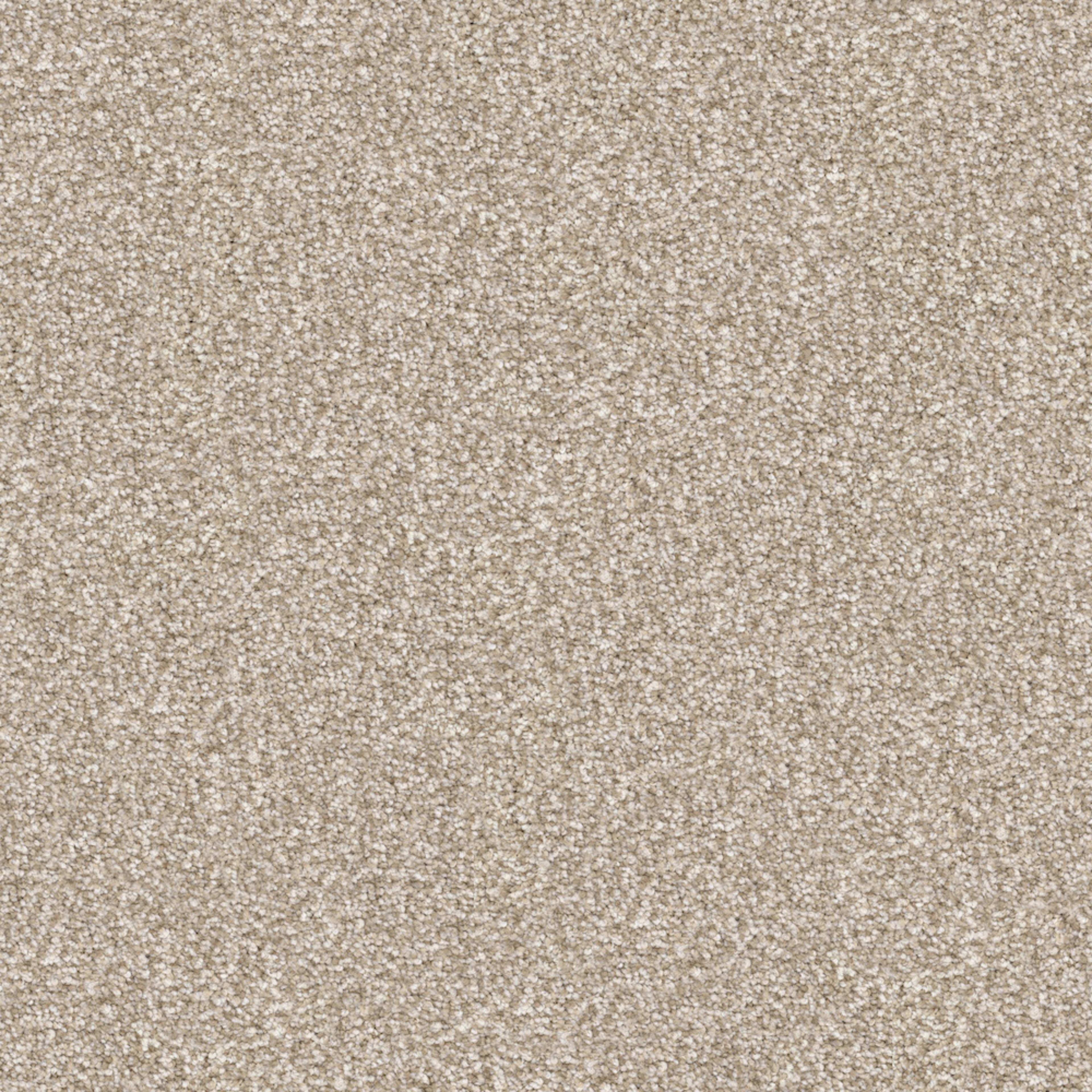 Tracker in Sandy Carpet