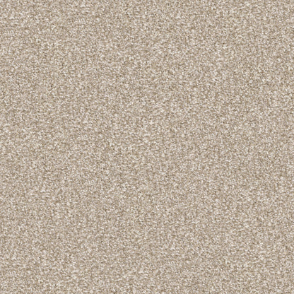 Tracker in Sandy Carpet
